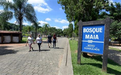 O Bosque Maia Em Guarulhos Um Retrato Histórico E Um Pulmão Verde De Lazer