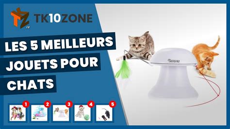 Les Meilleurs Jouets Pour Chats Youtube