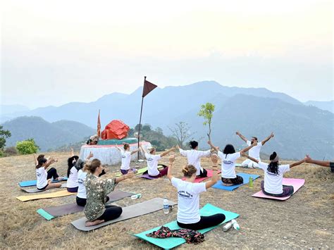 Best Yoga School In India Divine S Yoga School Blog