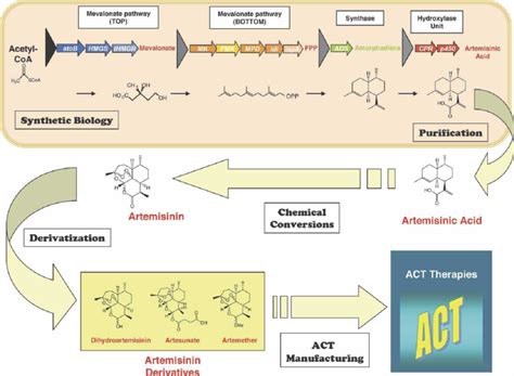 The Process For The Microbial Production Of Artemisinin Using