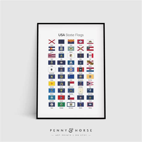 USA State Flags Print Classroom United States Flags Poster