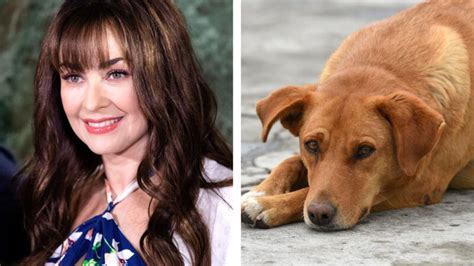 Aracely Ar Mbula Conmovida Con Perro Que Encontr En La Bas Lica De