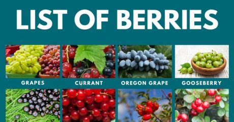 Types of Berries: List of 49 Berries with Yummy Pictures • 7ESL