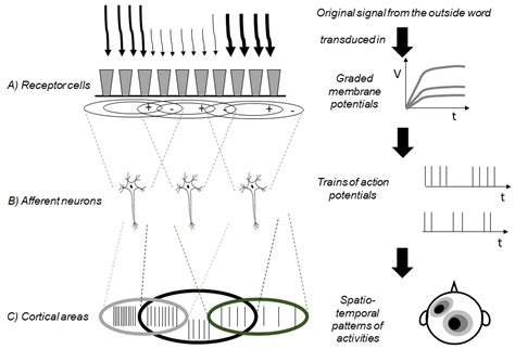 Molecules Free Full Text The Fuzziness Of The Molecular World And