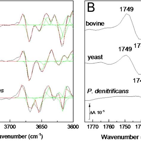 Electrochemically Induced Reduced Minus Oxidised Atr Ftir Difference