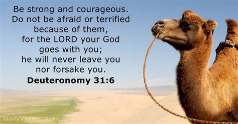 Deuteronomy 31:6 - Bible verse - DailyVerses.net