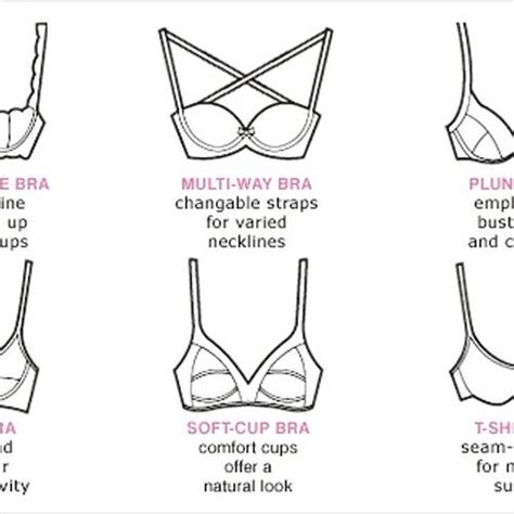 Types Of Bra Chart