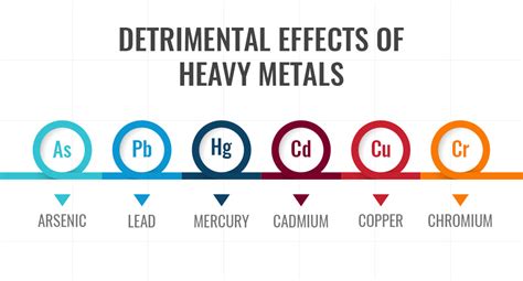 Detrimental Effects Of Heavy Metals