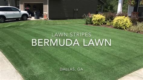 How To Stripe Bermuda Grass My Heart Lives Here