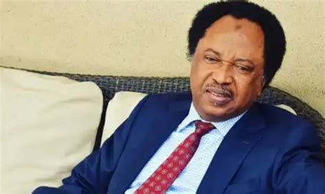 They Keep Contradicting Self On Job Creation Promise — Shehu Sani