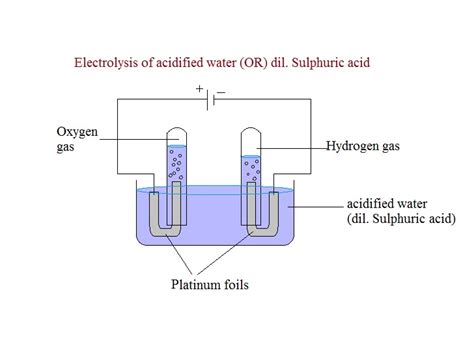 Icse Chemistry Electrolysis Of Acidified Water With Platinum Electrodes Hot Sex Picture