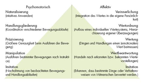 Affektive Und Psychomotorische Taxonomie LEHRE LADEN