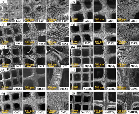 SEM Images Of Different 3D Printed Aerogels With CNC 5 Wt Inks