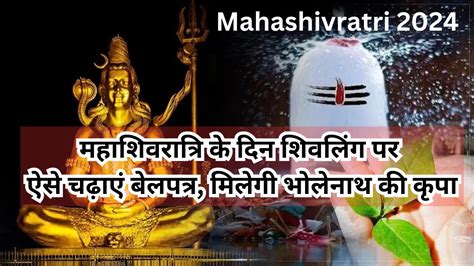 Mahashivratri 2024 महाशिवरात्रि के दिन शिवलिंग पर ऐसे चढ़ाएं बेलपत्र