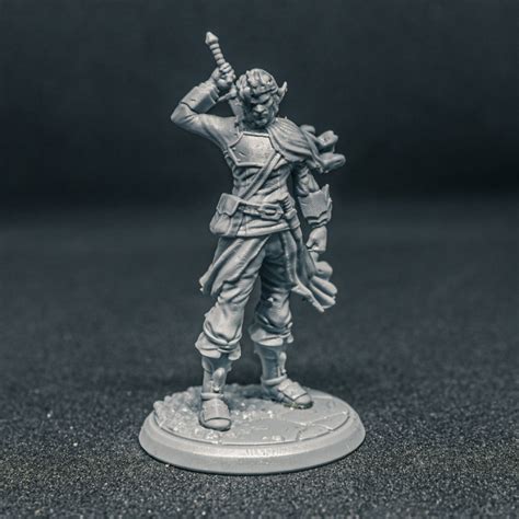 3d Printable Cedric Liarel Drow Swordsman By Flesh Of Gods