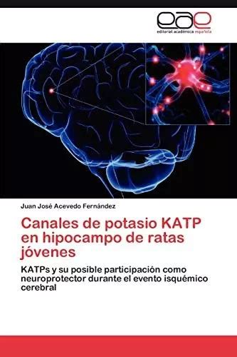 Libro Canales De Potasio Katp En Hipocampo De Ratas Jóvenes Cuotas