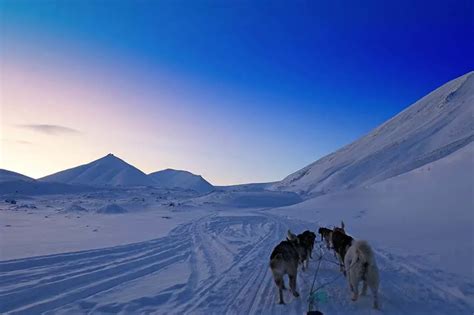 Svalbard in Winter: Things to Do & Essential Travel Tips