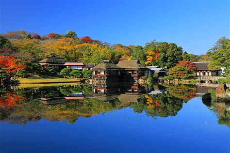 彦根城 紅葉