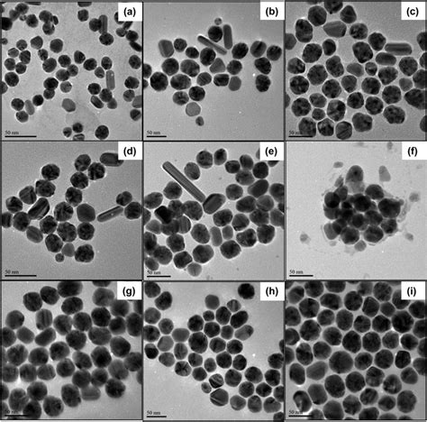 TEM Images Of AgNPs A Unmodified 16 Nm B 1 Modified 16 Nm