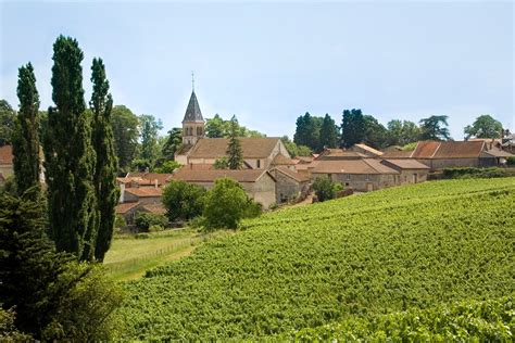 Why wine lovers should make a beeline for Bourgogne | CN Traveller