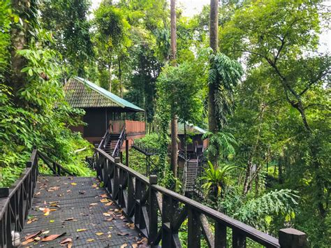 Tabin Wildlife Reserve And Resort Adventure Bike And Tours