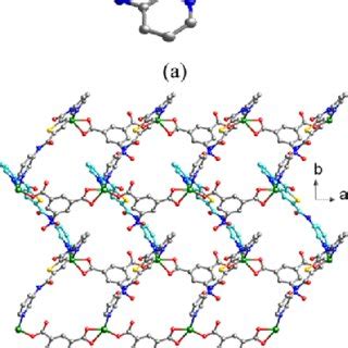 A Coordination Environment Of A Ni II Ion In 6 B 63 Network Based