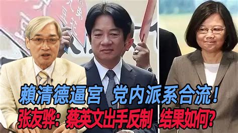 赖清德逼宫，党内派系合流！张友骅：蔡英文出手反制，结果如何？ Youtube