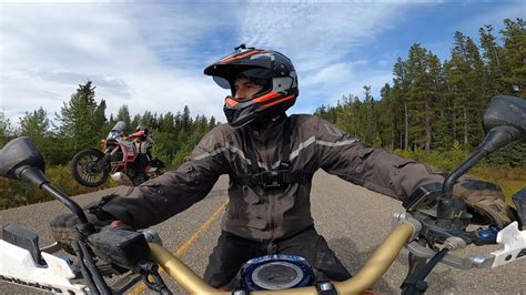 Tumbler Ridge Ride Mount Spieker Bullmoose Cowmoose Red Deer