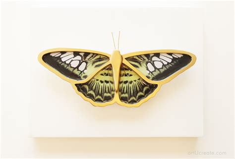 DIY Beautiful Butterfly Wall Art & Decor - art u create