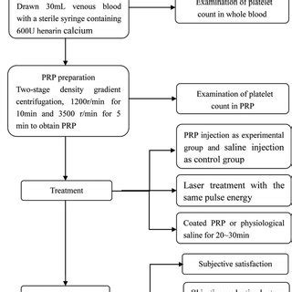 Schematic Overview Of Autologous Platelet Rich Plasma PRP Combined