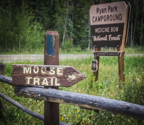 Medicine Bow National Forest, Wyoming | Elaine Webster