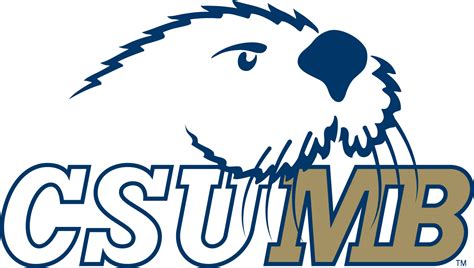 Norcal Hs And College Basketball Central Has Moved A Csumb Roster Update