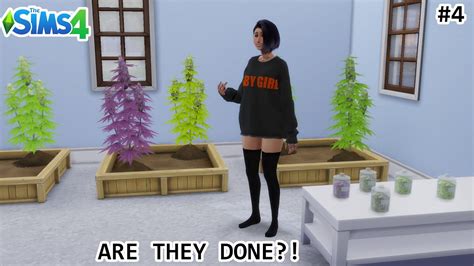 Sims 4 Basement Drugs 2019 Kintery