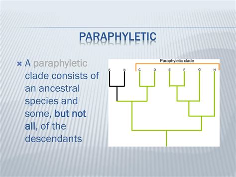 Ppt Phylogeny The Tree Of Life Powerpoint Presentation Free