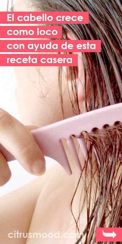 El Cabello Crece Como Loco Con Ayuda De Esta Receta Casera Artofit