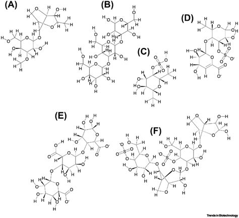 Overview Of Representative Chemical Structures Of Major Representative