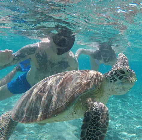 Wisata Gili Lombok Trawangan Meno Dan Air