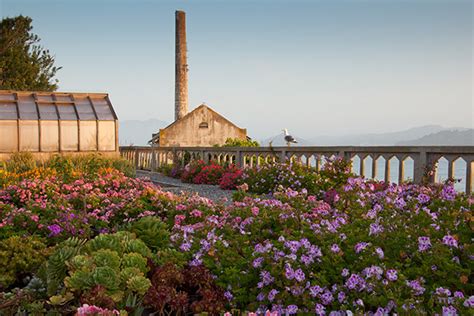 Gardens of Alcatraz : The Garden Conservancy