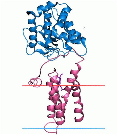 Disulfide bond formation protein B - Alchetron, the free social encyclopedia