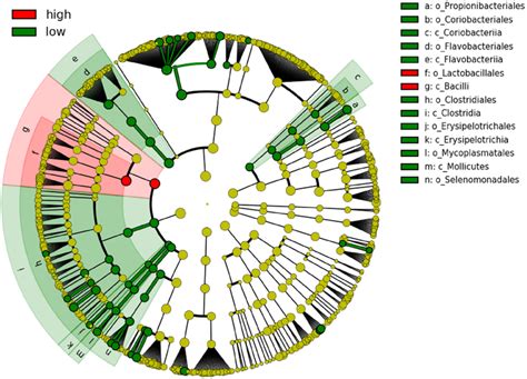 Cladogram Showing Significantly Different Taxa At Order And Class