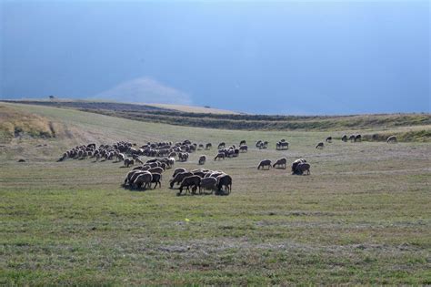 Qui E Adesso Blog Dalla Capanna Ghezzi Al Lago Di Pilato Per Forca Viola