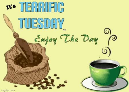 Terrific Tuesday Terrific Tuesday Discover Share GIFs