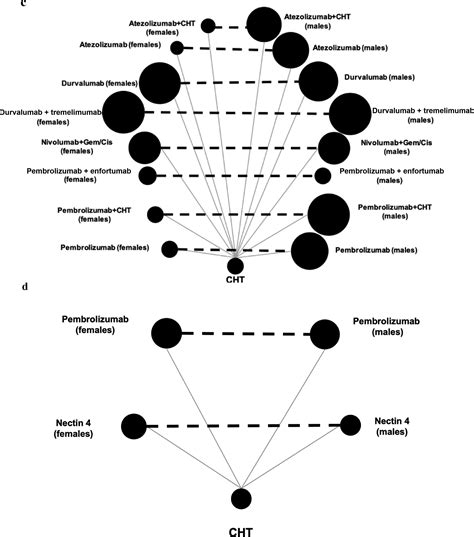 Effect Of Sex On The Oncological Outcomes In Response To Immunotherapy