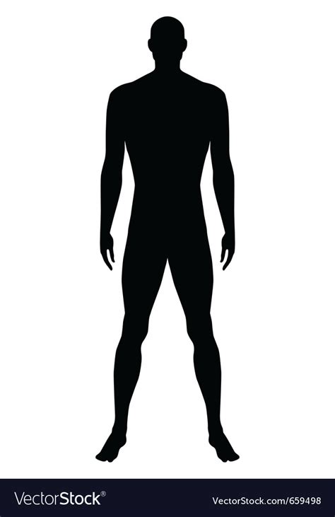 Naked Standing Man Royalty Free Vector Image Vectorstock Hot Sex Picture