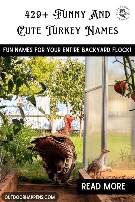 Turkey Names: 429+ Fun, Cute, and Pardoned Ideas for Your Flock