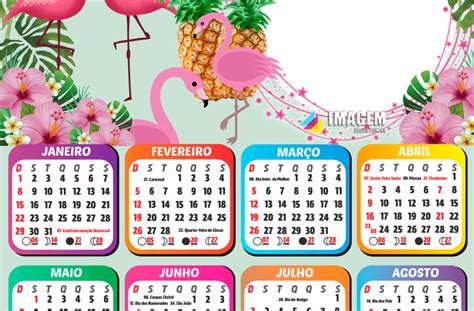 Calendário 2023 Flamingo Tropical Moldura Png Para Montar Imagem Legal