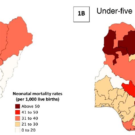 State Level Variations In Neonatal Mortality Rates And Under Five