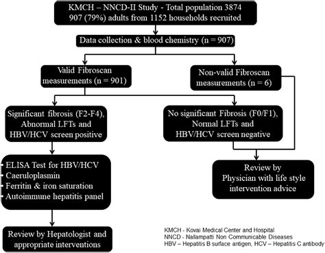 Prevalence Of Abnormal Liver Tests And Liver Fibrosis Among Rural