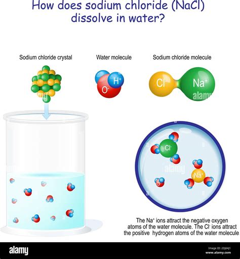 ¿cómo Se Disuelve El Cloruro De Sodio Nacl En Agua Los Iones Na