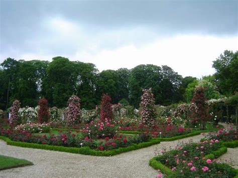 94240 L Haÿ Les Roses la Roseraie du Val de Marne Au jardin